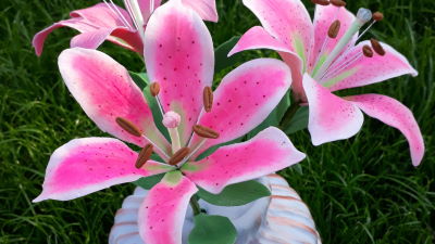 Liliom (cukorvirág, NEM EHETŐ)