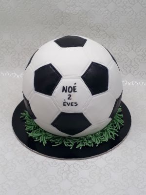 Focilabda torta
