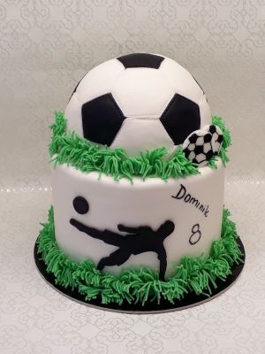 Focilabda torta