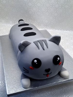 Cica torta