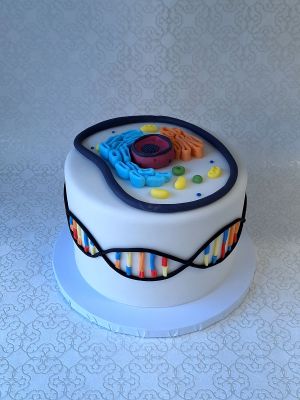 Biológus torta